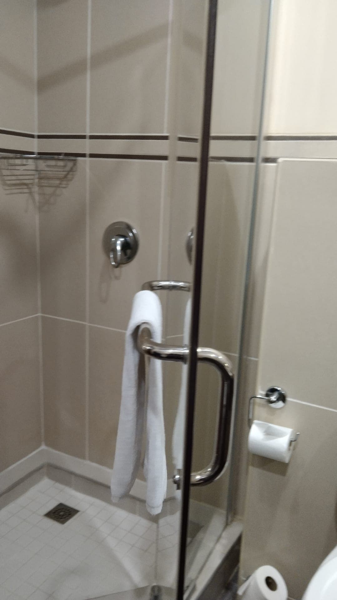 Frameless glass shower cubicle with polished fittings